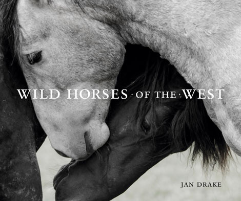 Cover of Wild Horses of the West