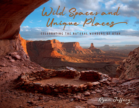 Cover of Wild Spaces and Unique Places