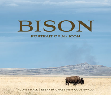 Cover of Bison