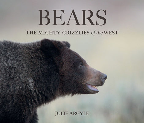 Cover of Bears