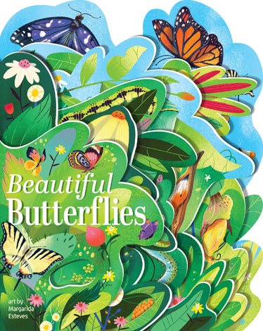 Cover of Beautiful Butterflies