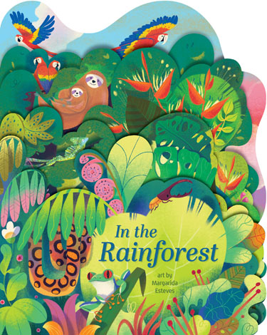 Cover of In the Rainforest