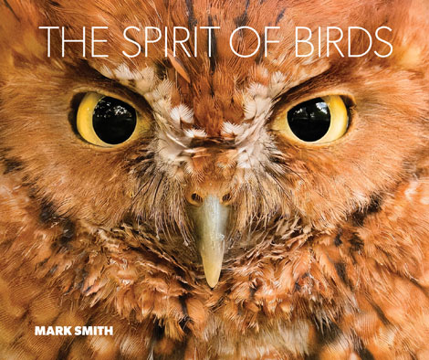Cover of The Spirit of Birds