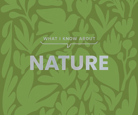 Cover of What I Know About Nature