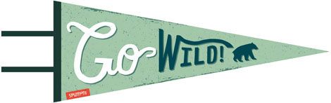 pennant